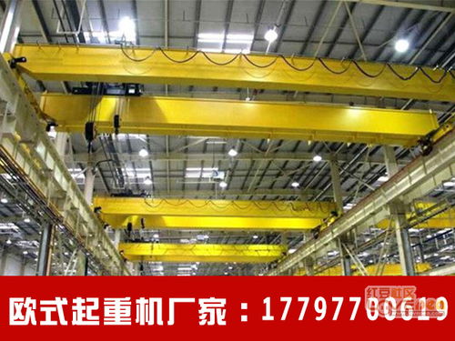 安徽安庆欧式双梁起重机供应商安全可信