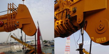 微特以卓越品质赢得中东客户青睐，起重机产品扬帆海外市场